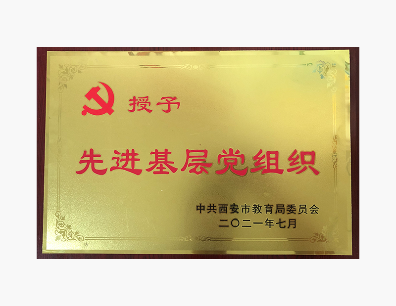 先进基层党组织.png